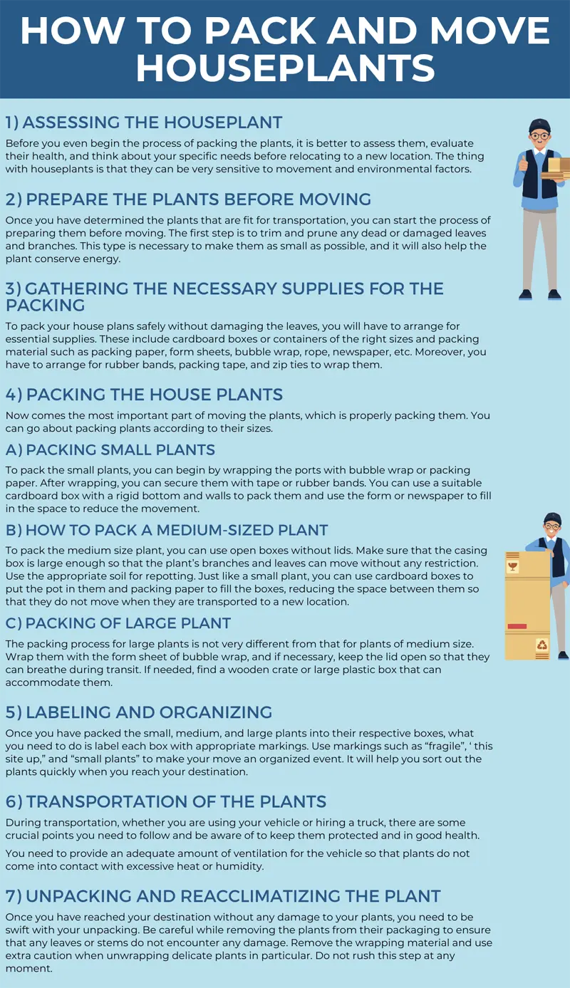 Understand How To Pack and Move Houseplants infographic