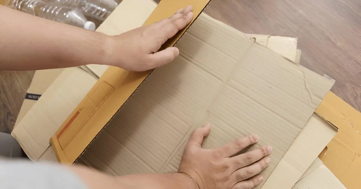 10 Practical Ways to Make Your Move Eco-Friendly